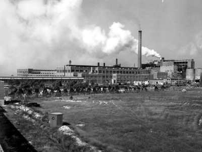 st joe paper mill